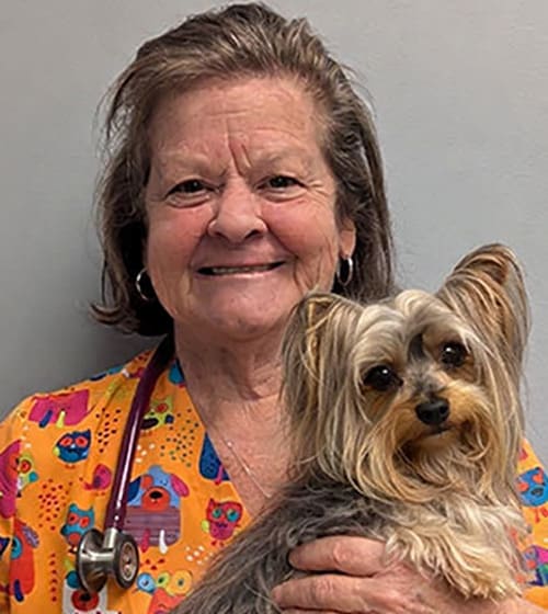 Dr. Lori Jones, Fayetteville Veterinarian