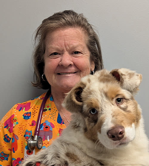 Dr. Lori Jones, Fayetteville Veterinarian